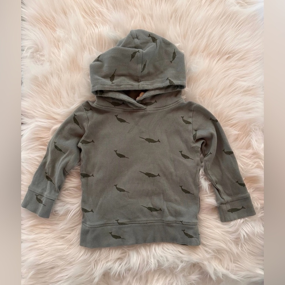 GUC Kate Quinn Long Sleeve Hoodie Narwhal 2T